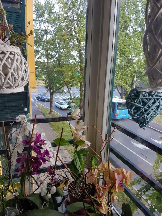 Studio Apartman Zagreb Zapad Vrapce 外观 照片