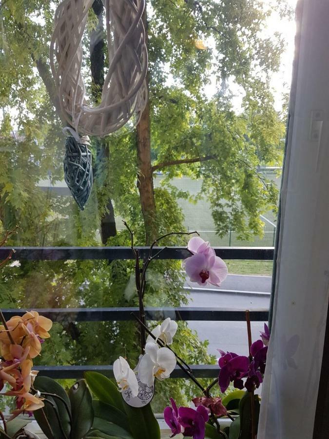Studio Apartman Zagreb Zapad Vrapce 外观 照片